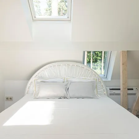 382 Sqm Luxury 6 Bedroom 2 Separate Villas Complex With Sauna In The Pine Forest 빌뉴스