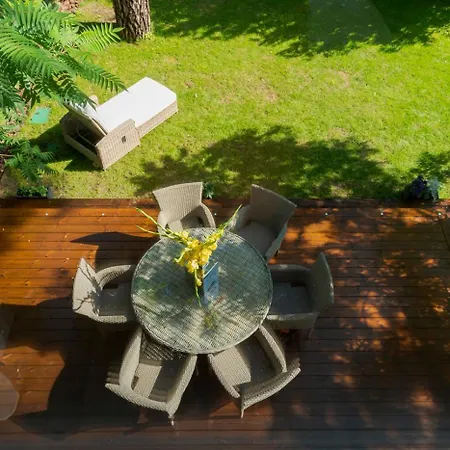 Villa 382 Sqm Luxury 6 Bedroom 2 Separate Villas Complex With Sauna In The Pine Forest